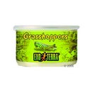 Aliment pour reptiles Hagen Exo Terra Grasshoppers - - 34 g