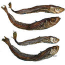 Poisson s�ch� Blue Wittling - - poissons entiers (400 g)
