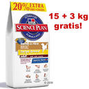 Hill's Canine Adult 15 kg + 3 kg offerts! - - Adult poulet