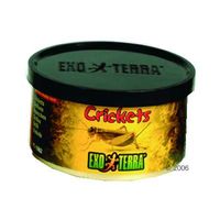 Comparez les prix Aliment pour reptiles hagen exo terra crickets - 34 g