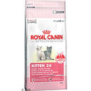 Royal Canin Kitten 36 - - 4 kg