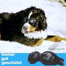 Lunettes pour chiens, modèle standard - - small