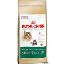 Royal Canin Maine Coon 31 - - 10 kg