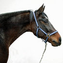 Licol en nylon Hippo - - poney, rouge / beige