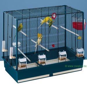 combient de perruches pour cette cage ? 15053_1