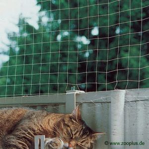 http://www.zooplus.fr/bilder/filet/de/protection/pour/chat/transparent/1/300/10824_w_1.jpg