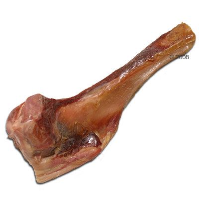 http://www.zooplus.fr/bilder/os/de/jambon/de/parme/original/1/400/2633_ebi_parmaschinkenknoch_1.jpg