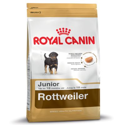 Comment Bien Nourrir Mon Rottweiler Magazine Zooplus