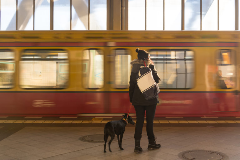 voyager en train avec un chien