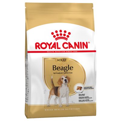 royal canin beagle adulte pour chien