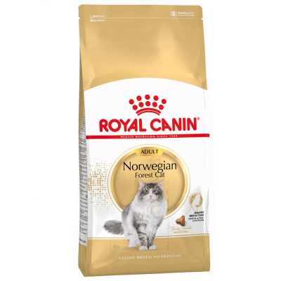 royal canin norwegian adult pour chat