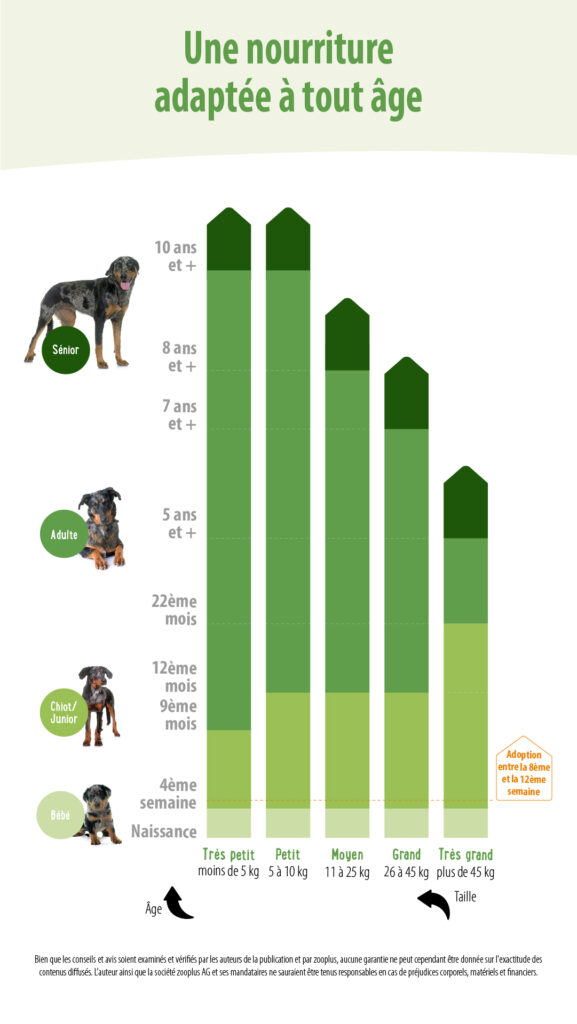 nutrition du chiot et poids alimentation du chiot en fonction de son âge