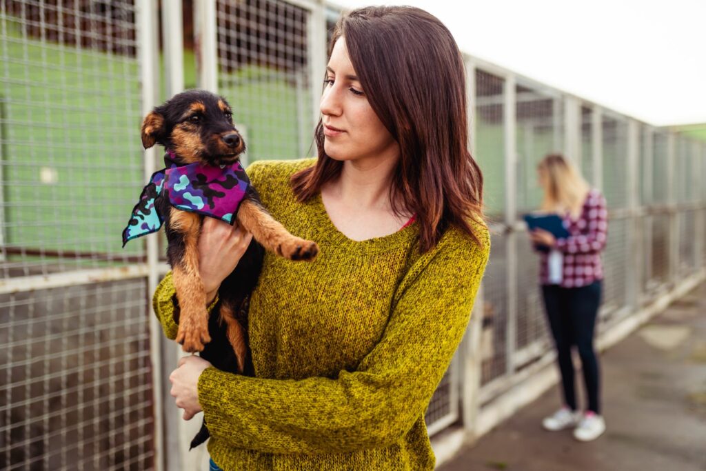 CHiot et maître dans un refuge