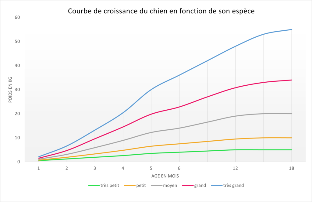 courbe croissance chiot et alimentation