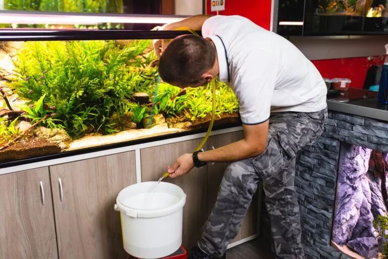 Un homme change l'eau de l'aquarium avec un tuyau