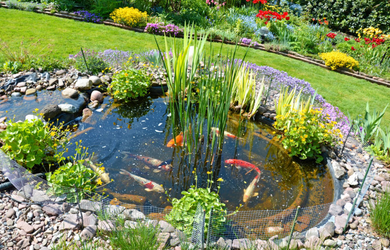 Construire un bassin de jardin