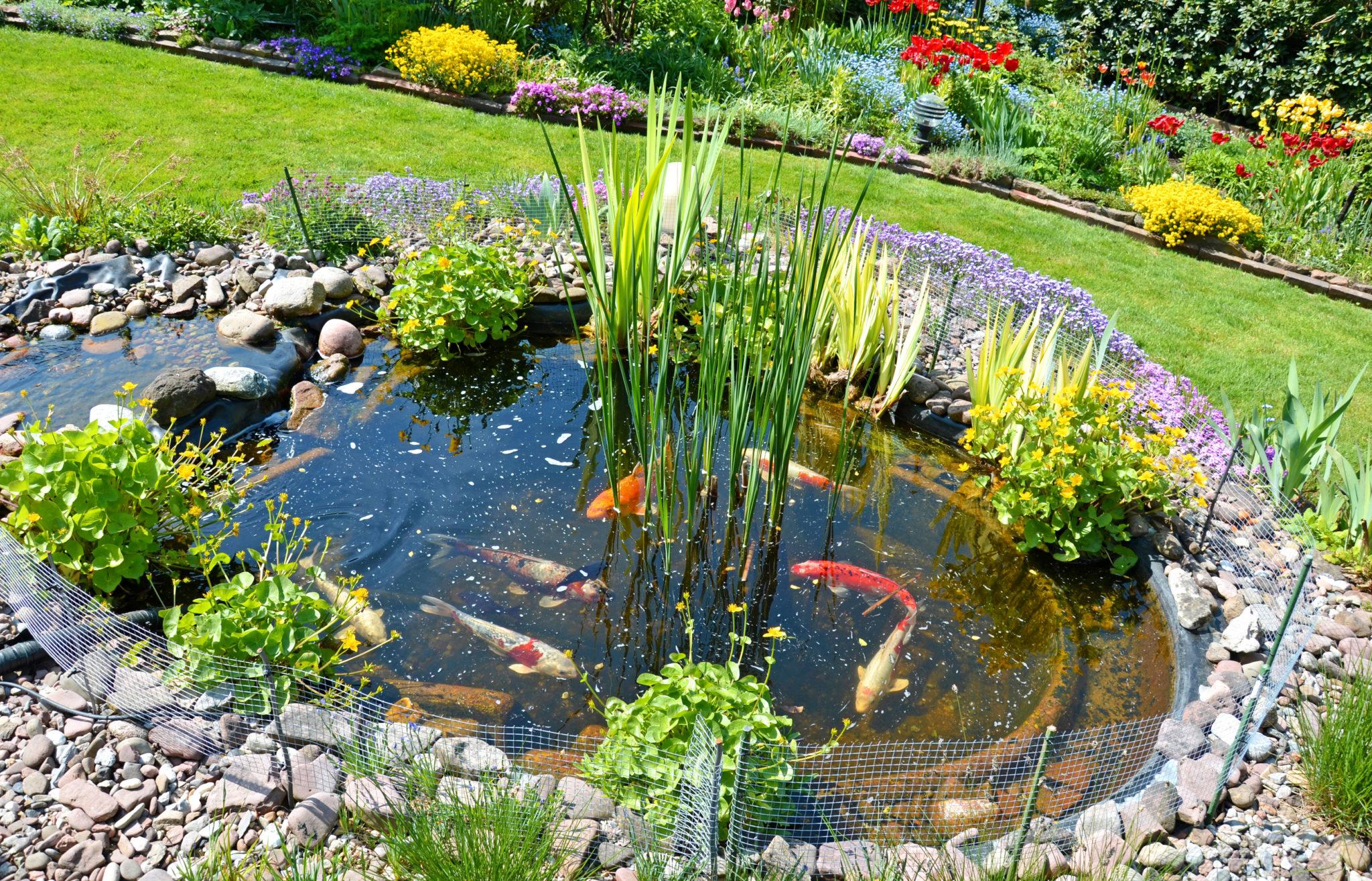 Construire un Étang ou Bassin Extérieur au Jardin Aquatique