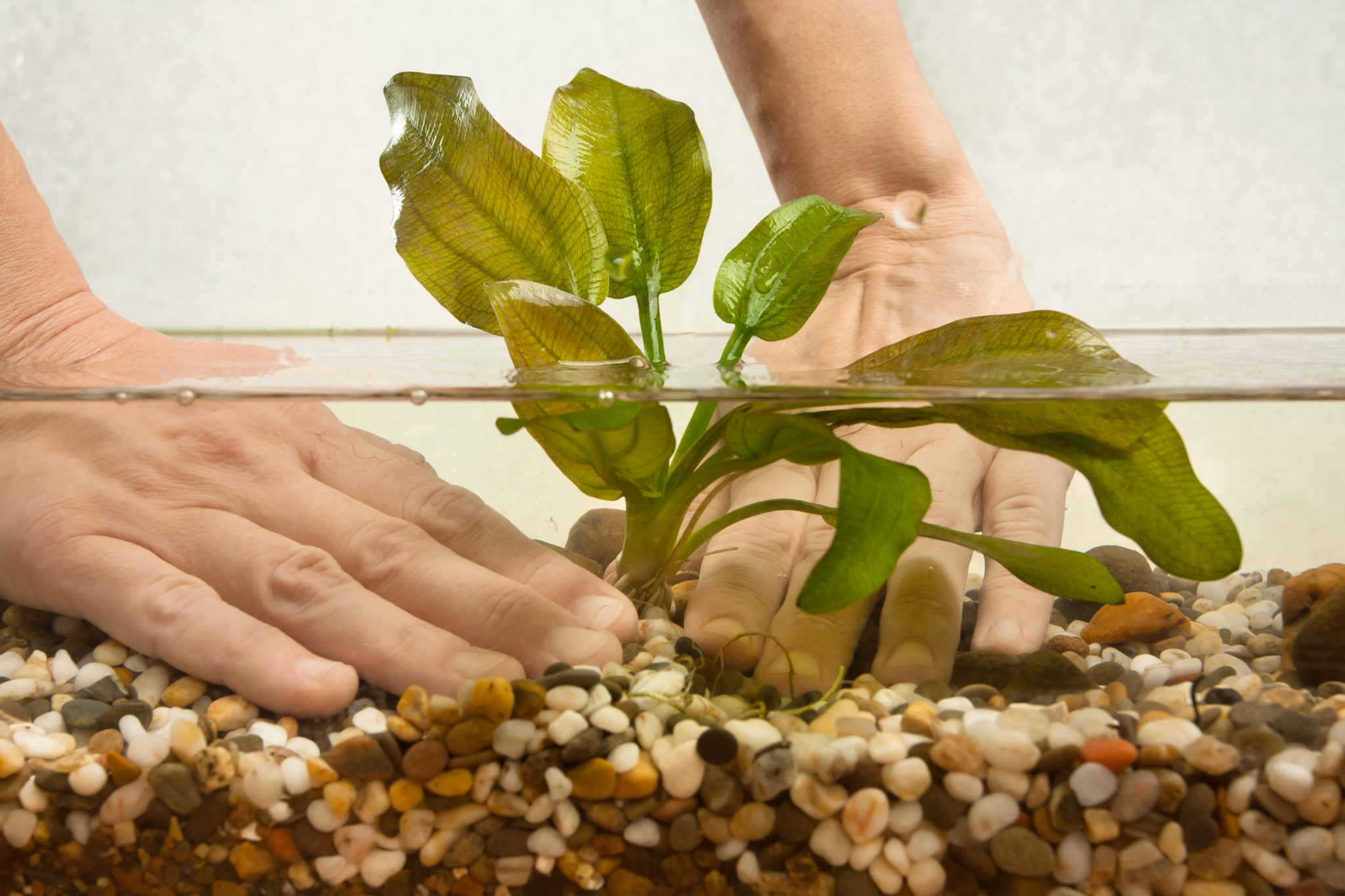 Binnan 20 cm Plante d'aquarium Artificielle de d'aspect Réaliste Ornement pour Vert Deco Aquarium 