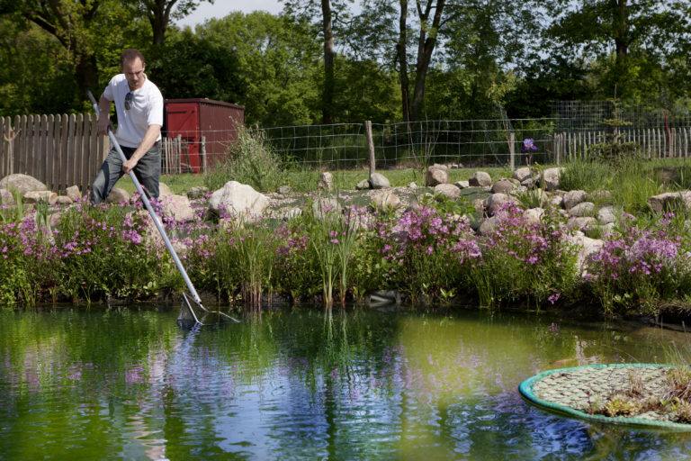 Bassin de jardin pour poissons - Magazine zooplus