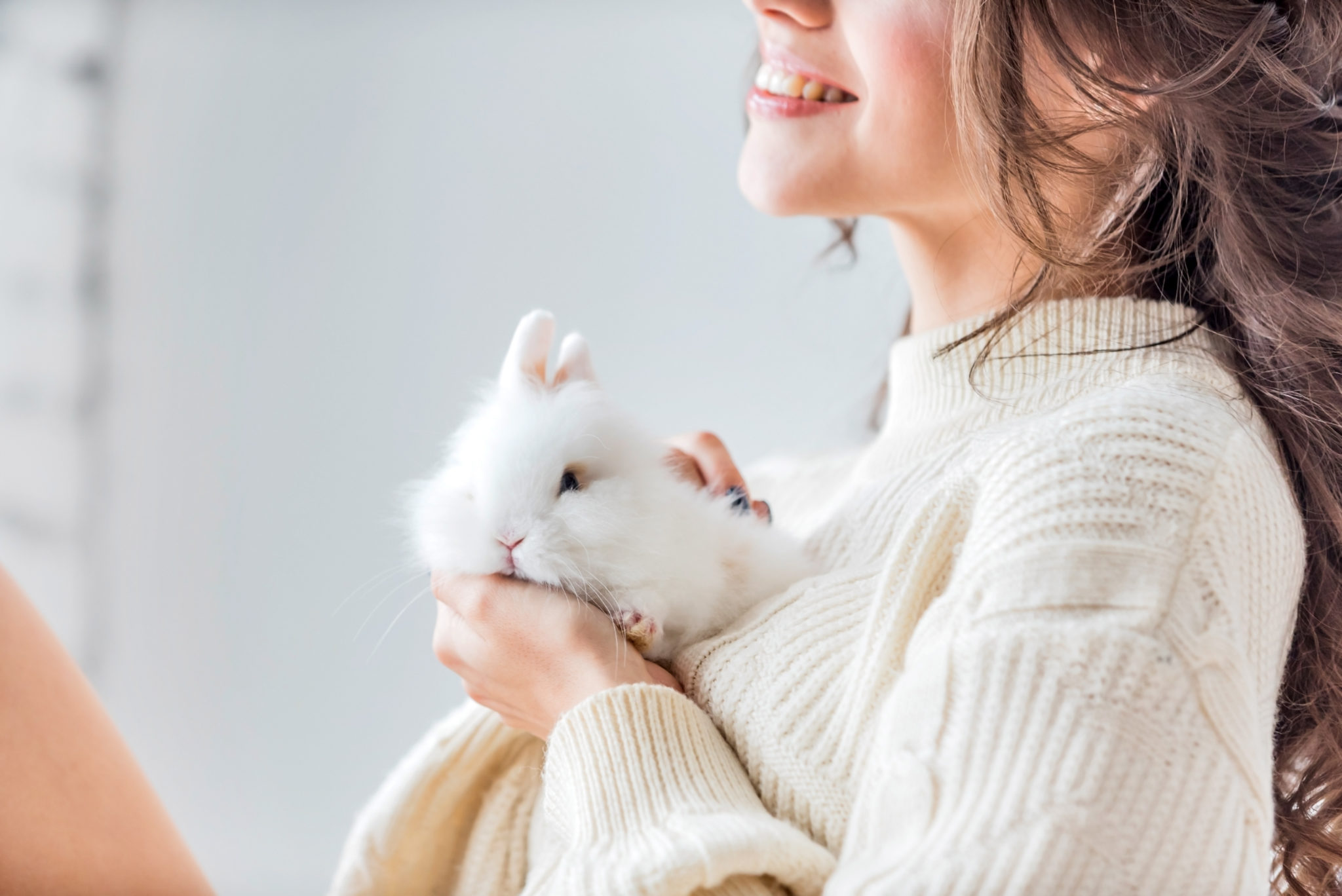 S Occuper D Un Lapin Nain Conseils Et Astuces Magazine Zooplus