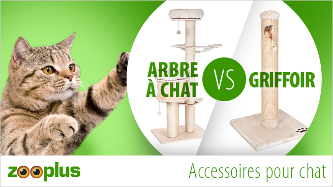 arbre à chat VS griffoir