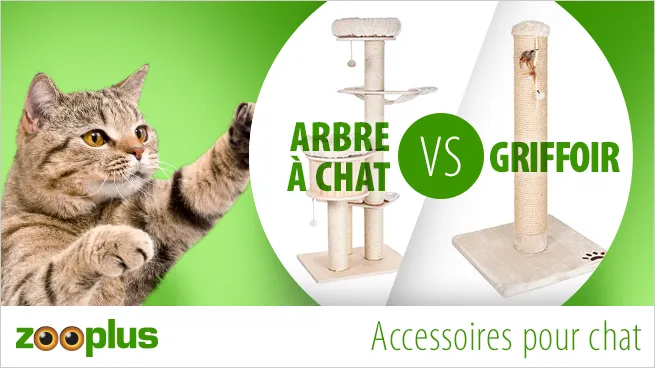 arbre à chat VS griffoir arbre à chat VS griffoir
