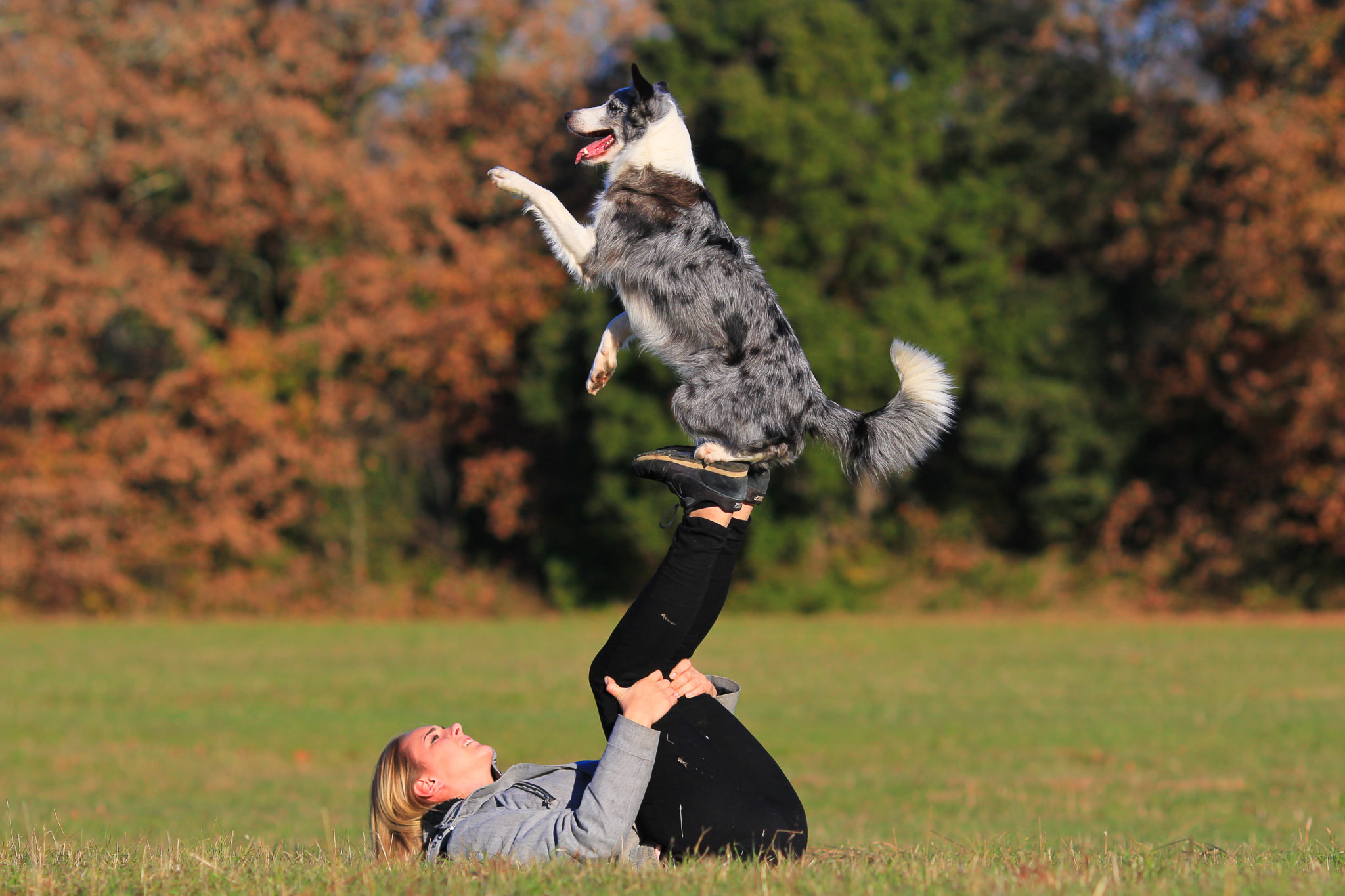 Obérythmée apprendre à danser avec un chien Magazine zooplus