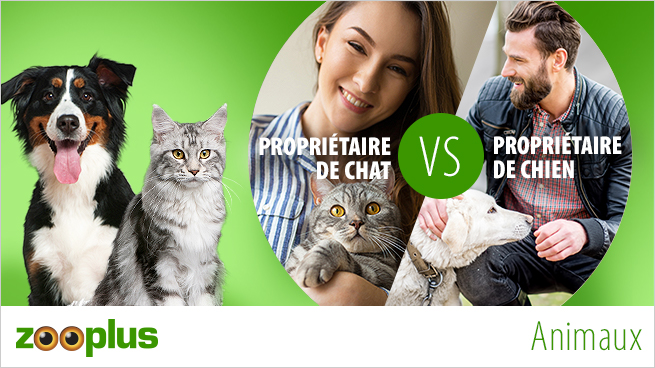 Proprietaire De Chat Vs Proprietaire De Chien Magazine Zooplus