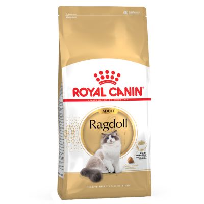 royal canin ragdoll adulte pour chat