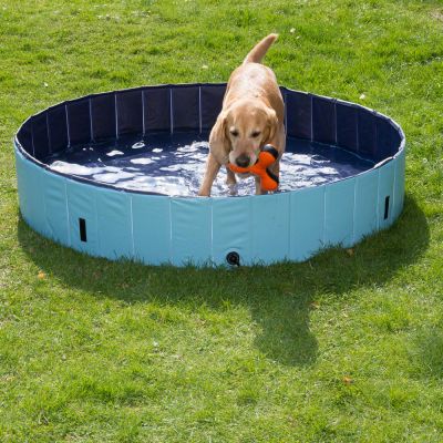 accessoires pour chien piscine