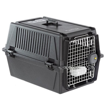 cage ferplast pour chien