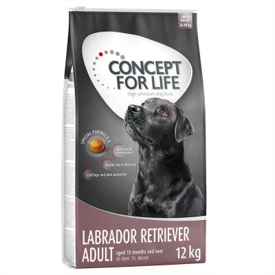 nourrir son labrador adulte