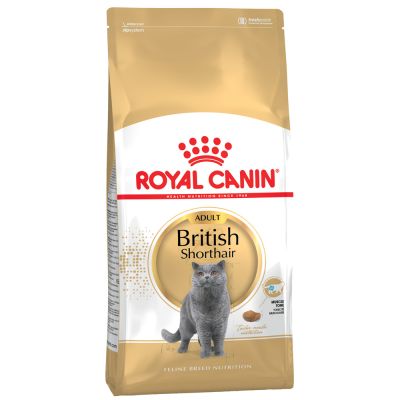 royal canin british shorthair pour chat