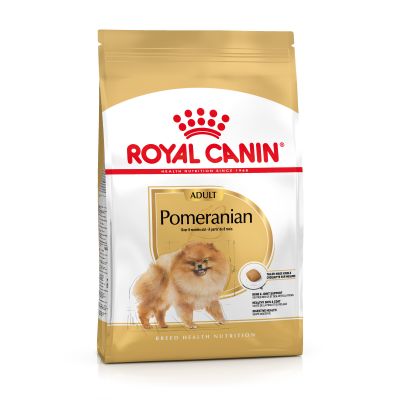 royal canin spitz nain adulte croquettes pour chien