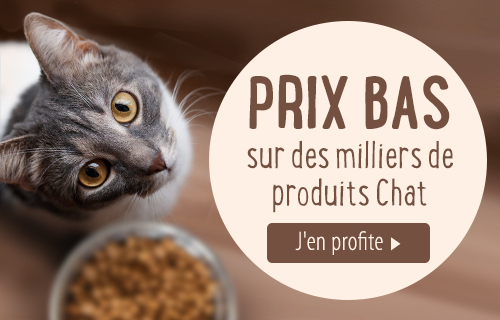 Nourriture et Accessoires pour Chats