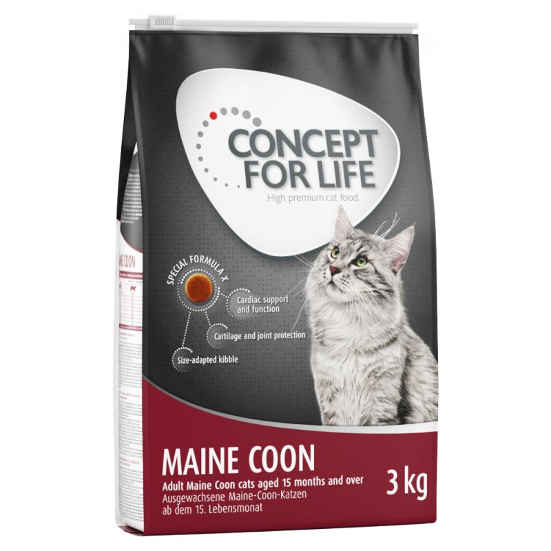 Concept for Life Maine Coon Adult