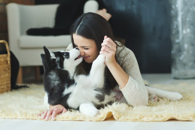 chien qui montre à sa maîtresse qu'il l'aime