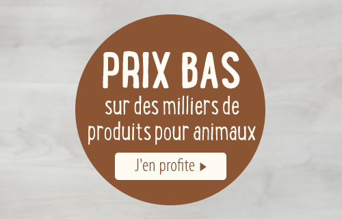 Nourriture et Accessoires pour Animaux