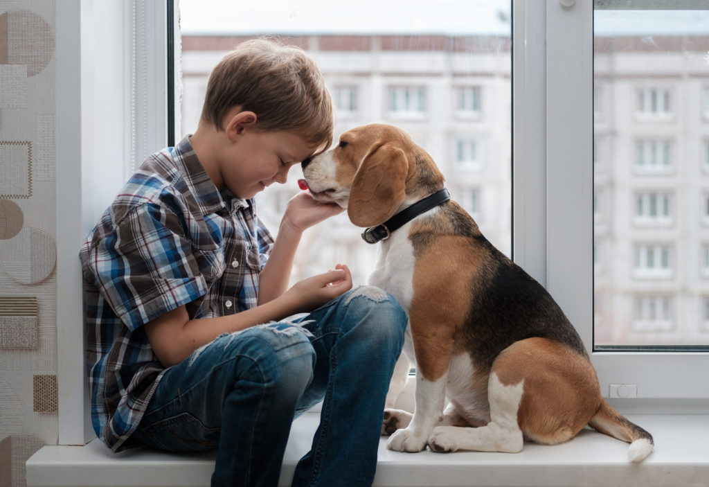 Signes qui montrent que votre chien vous aime Magazine zooplus