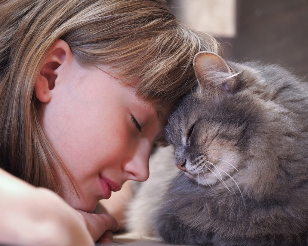 chat frotte son nez contre celui d'une petite fille