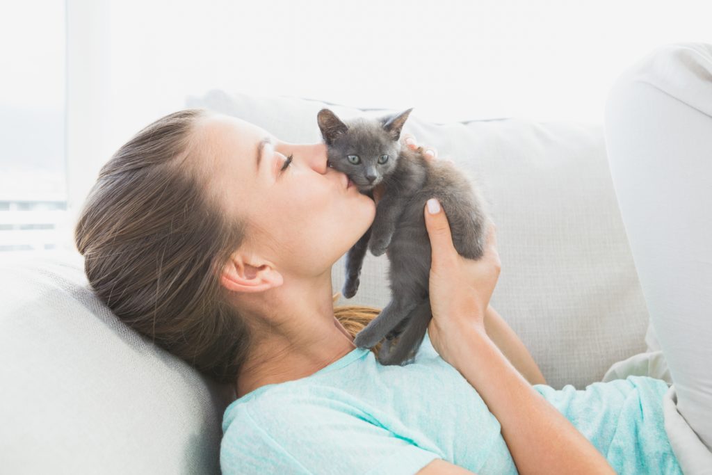 Chaton gris tenu dans la main de sa maîtresse qui l'embrace