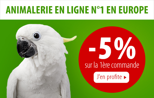 Découvrez tous les produits pour oiseaux sur la boutique zooplus