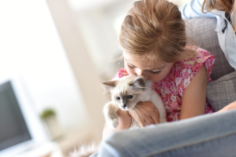 Les chat etrangers avec Rencontres &