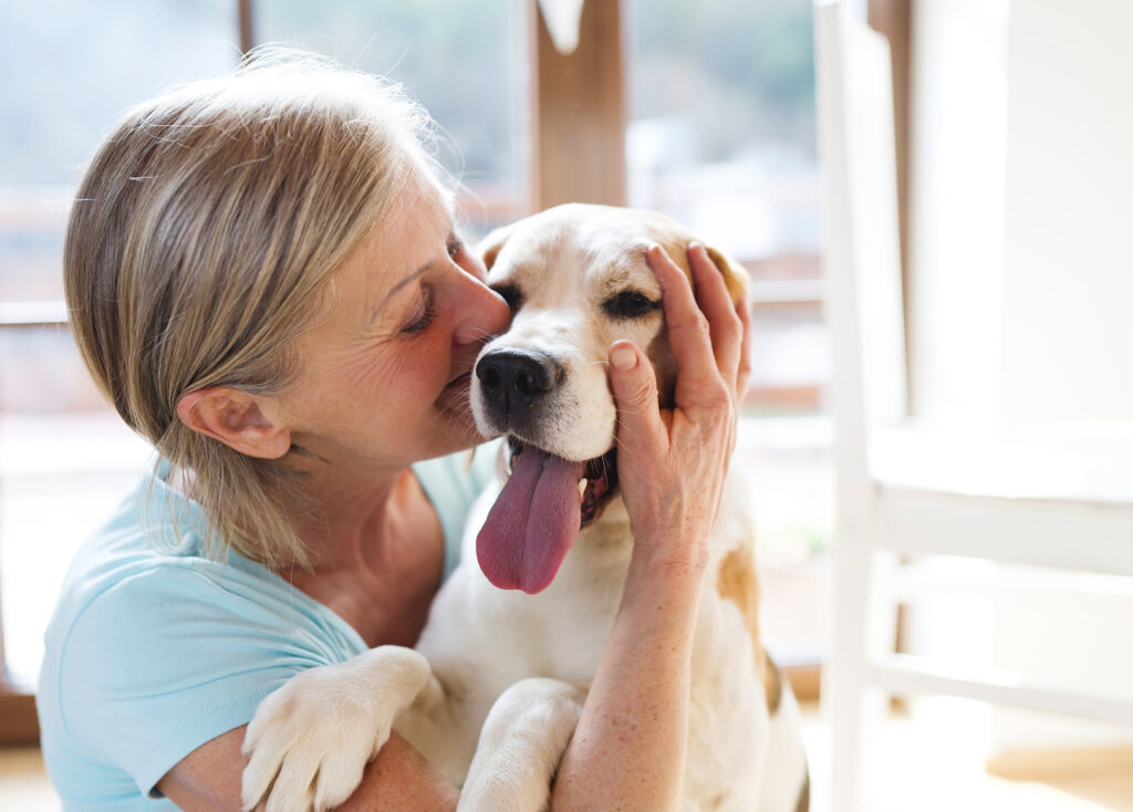 Chien qui retrouve son maitre à la maison