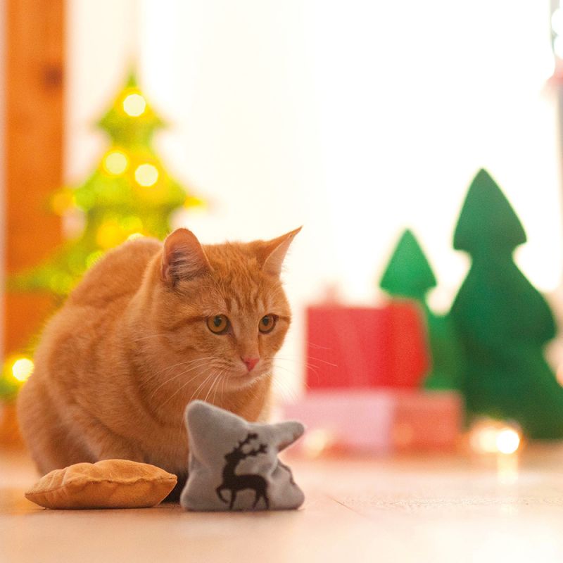 Cadeaux de Noël pour chat : quelques idées