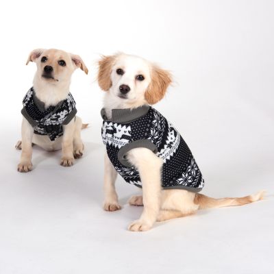 deux chiens en pull de noël