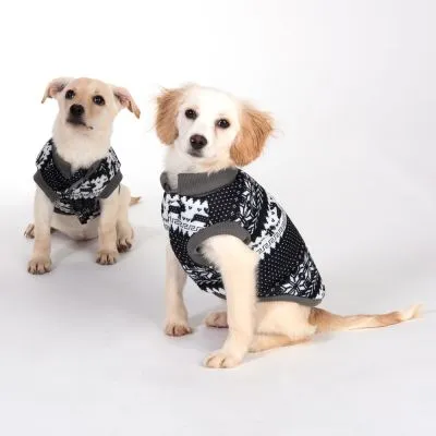 deux chiens en pull de noël