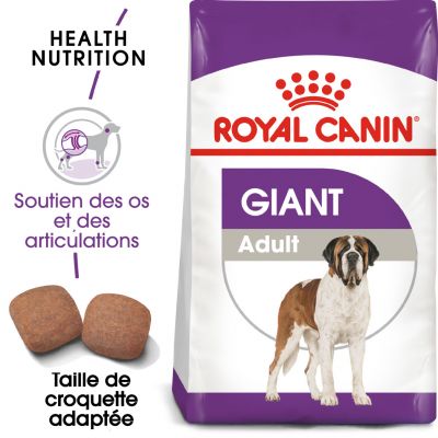 royal canin giant adult pour chien