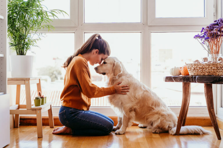 Comment promener son chien pendant le confinement ?