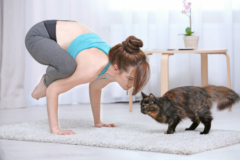 une jeune femme fait du yoga à la maison avec son chat